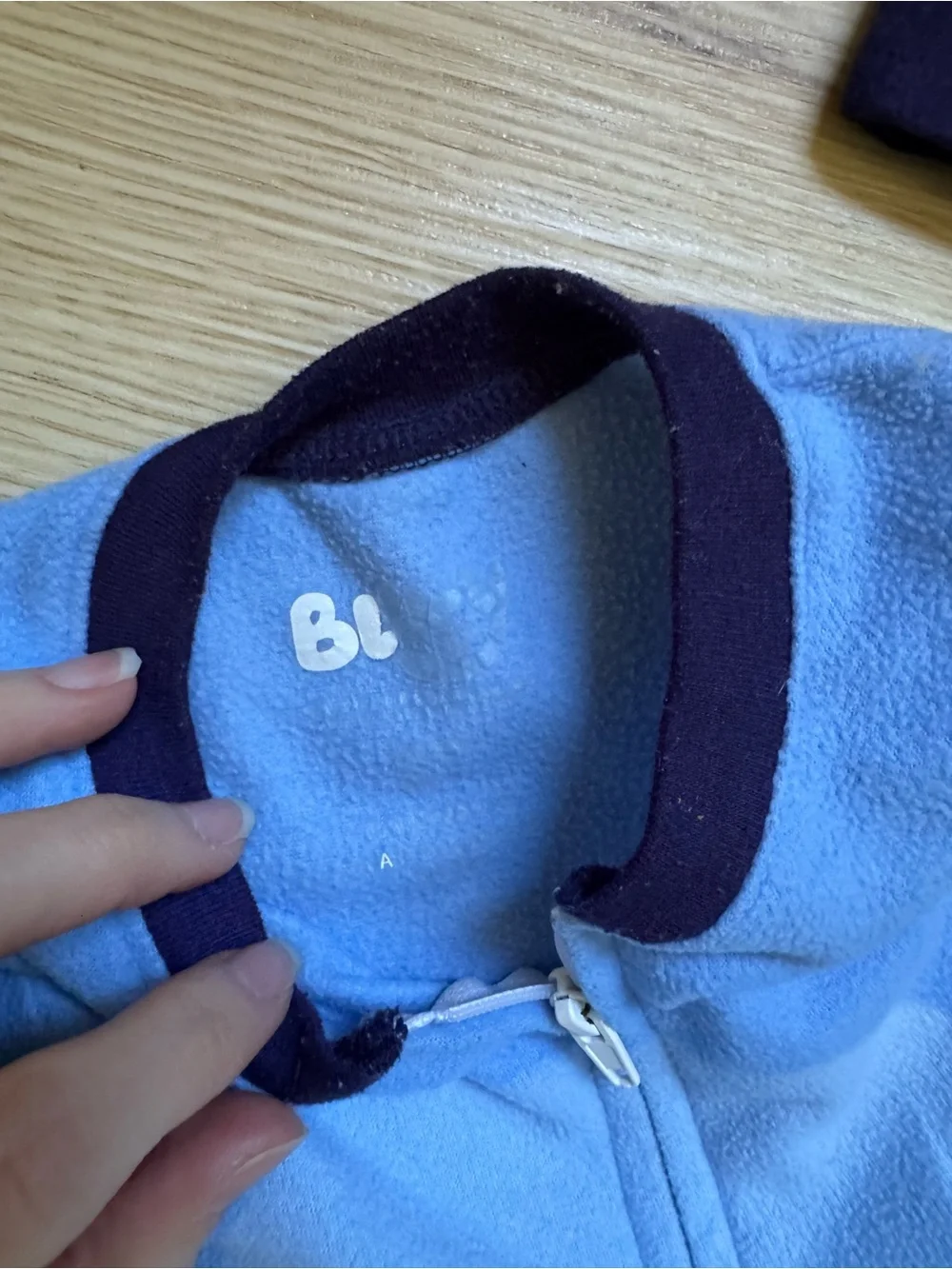 bluey outfit size 2t